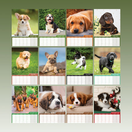 CalendarsRUs Puppies A3 Kalender 2027