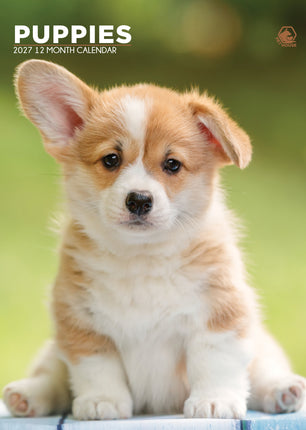 CalendarsRUs Puppies A3 Kalender 2027