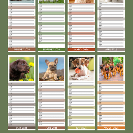 CalendarsRUs Puppies Slimline Kalender 2026