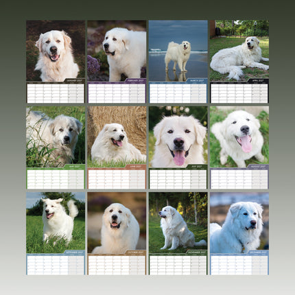 CalendarsRUs Pyreneese Berghond A3 Kalender 2027