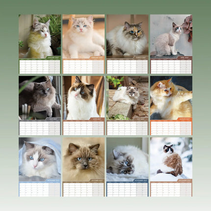 CalendarsRUs Ragdoll A3 Kalender 2027