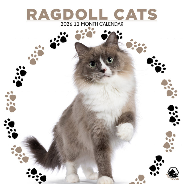 CalendarsRUs Ragdoll Kalender 2026