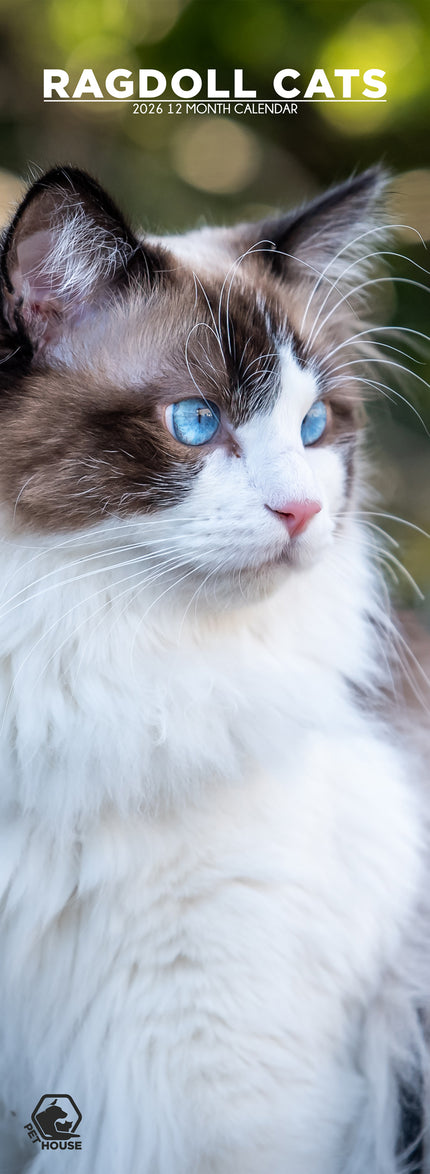 CalendarsRUs Ragdoll Slimline Kalender 2026