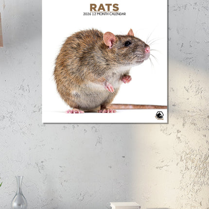 CalendarsRUs Ratten Kalender 2026