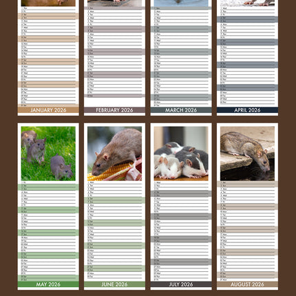 CalendarsRUs Ratten Slimline Kalender 2026