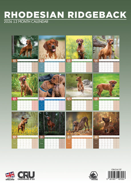 CalendarsRUs Rhodesian Ridgeback A3 Kalender 2026