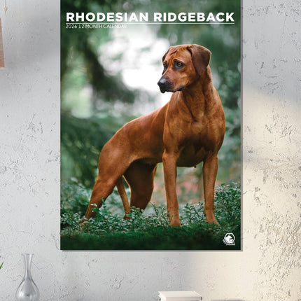CalendarsRUs Rhodesian Ridgeback A3 Kalender 2026