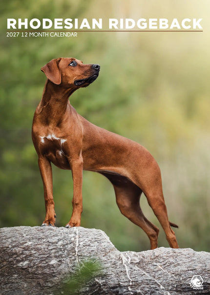 CalendarsRUs Rhodesian Ridgeback A3 Kalender 2027
