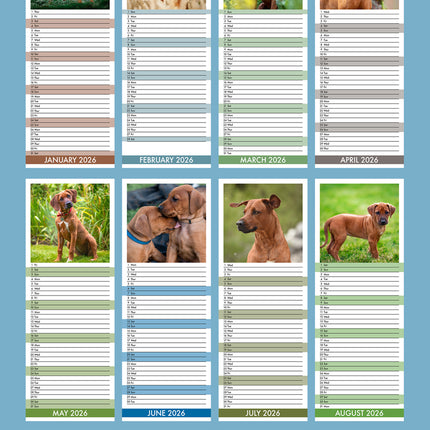 CalendarsRUs Rhodesian Ridgeback Slimline Kalender 2026