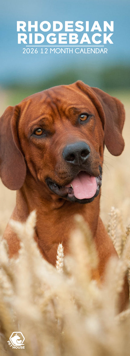 CalendarsRUs Rhodesian Ridgeback Slimline Kalender 2026