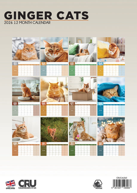 CalendarsRUs Rode Katten A3 Kalender 2026