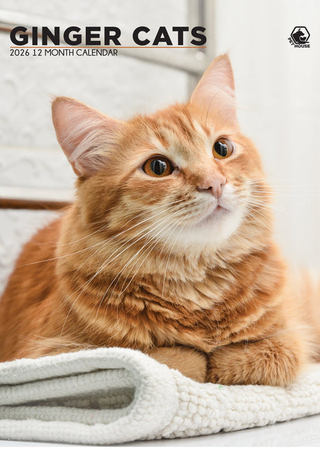 CalendarsRUs Rode Katten A3 Kalender 2026