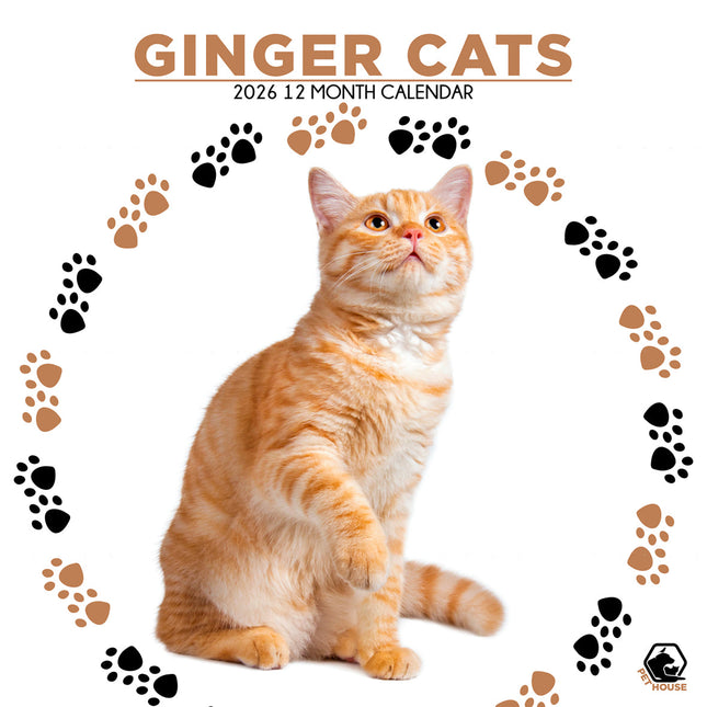CalendarsRUs Rode Katten Kalender 2026