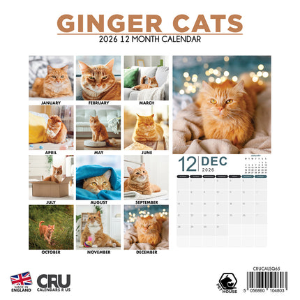 CalendarsRUs Rode Katten Kalender 2026