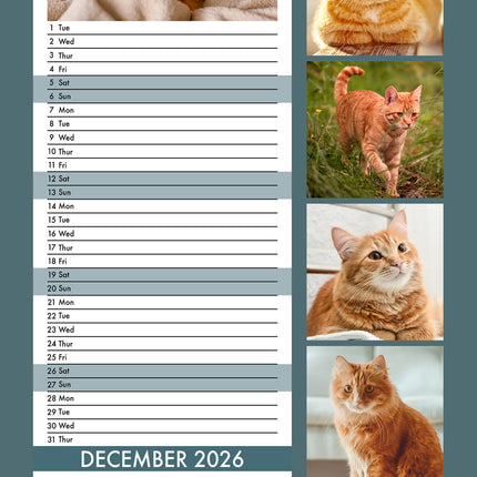CalendarsRUs Rode Katten Slimline Kalender 2026