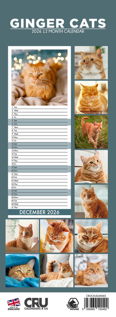 CalendarsRUs Rode Katten Slimline Kalender 2026