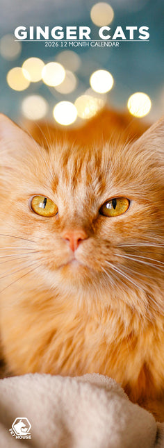 CalendarsRUs Rode Katten Slimline Kalender 2026