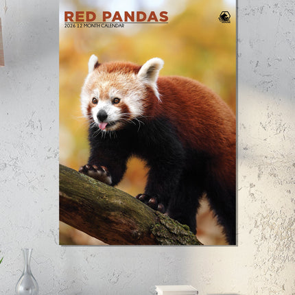 CalendarsRUs Rode Panda A3 Kalender 2026