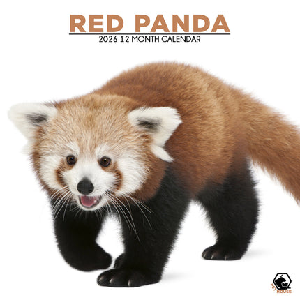 CalendarsRUs Rode Panda Kalender 2026