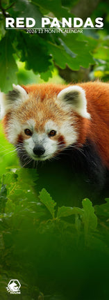 CalendarsRUs Rode Panda Slimline Kalender 2026