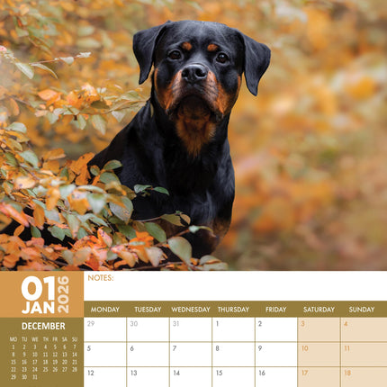 CalendarsRUs Rottweiler A3 Kalender 2026