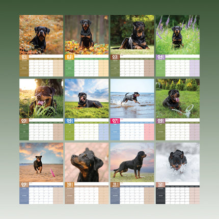 CalendarsRUs Rottweiler A3 Kalender 2026
