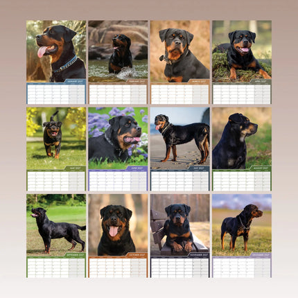 CalendarsRUs Rottweiler A3 Kalender 2027