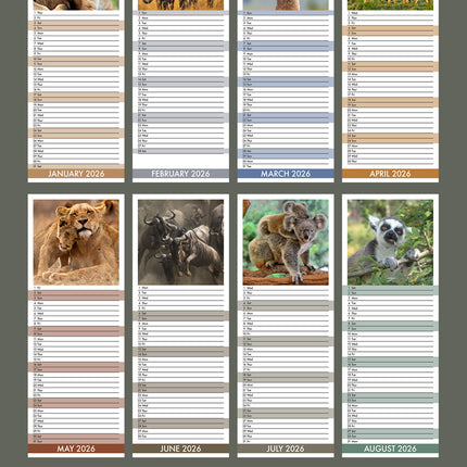 CalendarsRUs Safari Slimline Kalender 2026