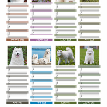 CalendarsRUs Samojeed Slimline Kalender 2026