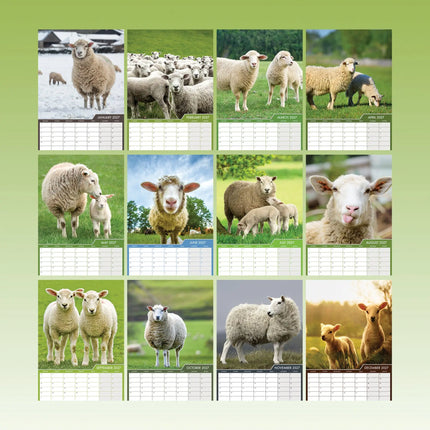 CalendarsRUs Schapen A3 Kalender 2027