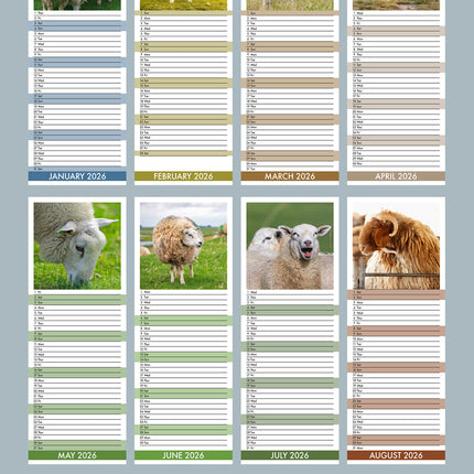 CalendarsRUs Schapen Slimline Kalender 2026
