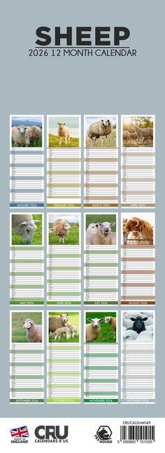 CalendarsRUs Schapen Slimline Kalender 2026