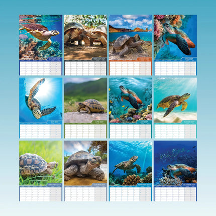 CalendarsRUs Schildpadden A3 Kalender 2027