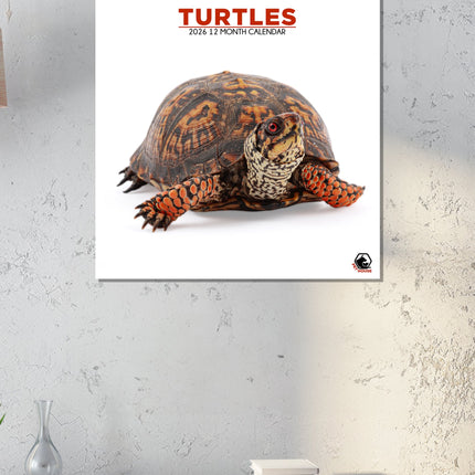 CalendarsRUs Schildpadden Kalender 2026