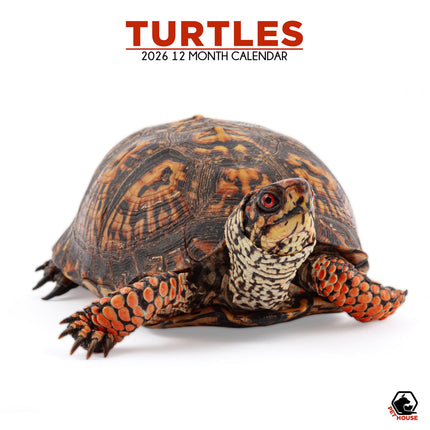 CalendarsRUs Schildpadden Kalender 2026