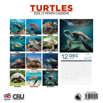 CalendarsRUs Schildpadden Kalender 2026