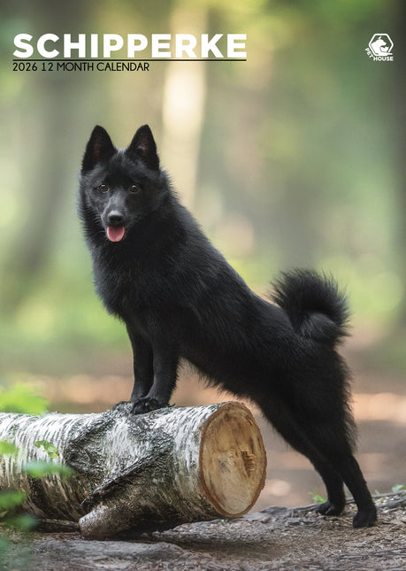 CalendarsRUs Schipperke A3 Kalender 2026