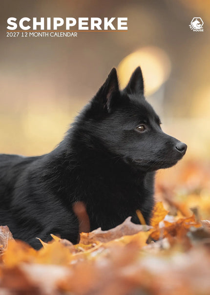 CalendarsRUs Schipperke A3 Kalender 2027