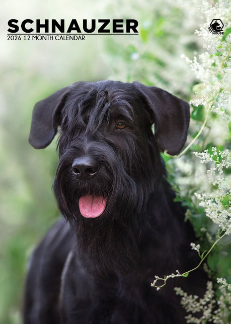 CalendarsRUs Schnauzer A3 Kalender 2026