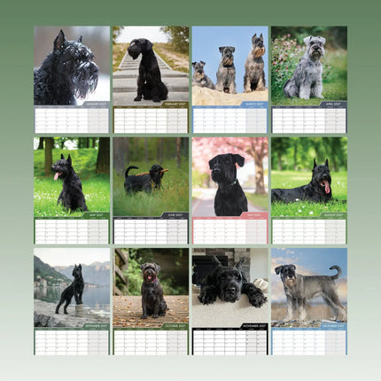CalendarsRUs Schnauzer A3 Kalender 2027
