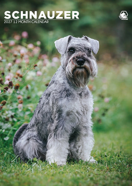 CalendarsRUs Schnauzer A3 Kalender 2027