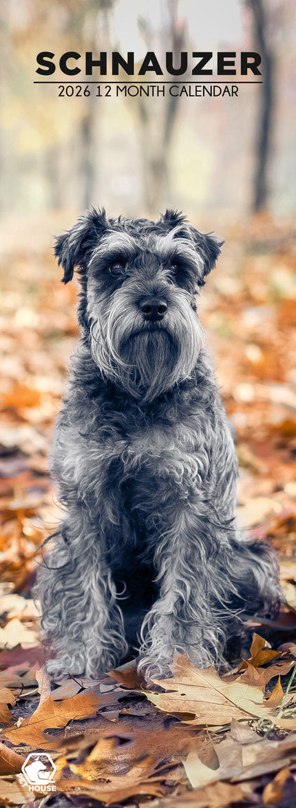CalendarsRUs Schnauzer Slimline Kalender 2026