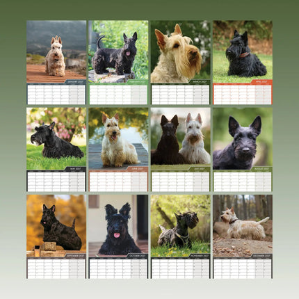 CalendarsRUs Schotse Terrier A3 Kalender 2027