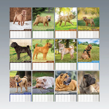 CalendarsRUs Shar Pei A3 Kalender 2027