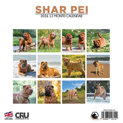 CalendarsRUs Shar Pei Kalender 2026