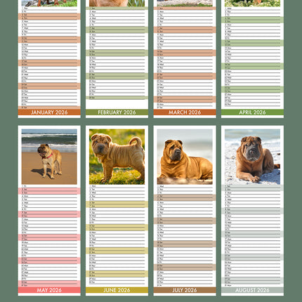 CalendarsRUs Shar Pei Slimline Kalender 2026