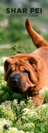 CalendarsRUs Shar Pei Slimline Kalender 2026