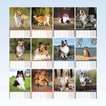 CalendarsRUs Shetland Sheepdog A3 Kalender 2027