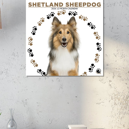 CalendarsRUs Shetland Sheepdog Kalender 2026