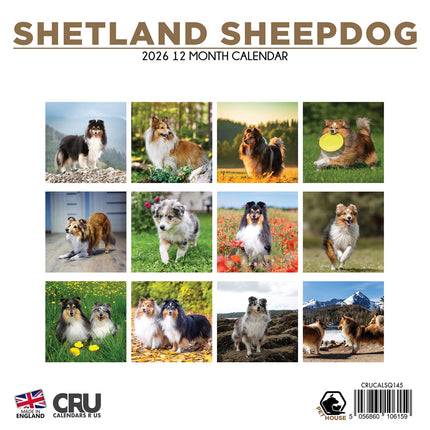 CalendarsRUs Shetland Sheepdog Kalender 2026